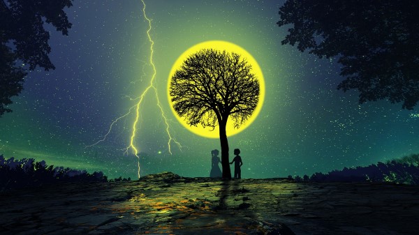 Silhouettes Tree Love Wallpaper