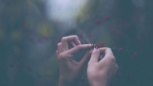 Flowers Hands Fingers Wallpaper