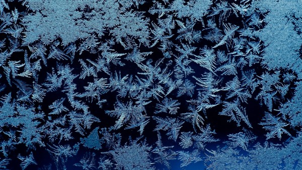 Frost Ice Macro Wallpaper