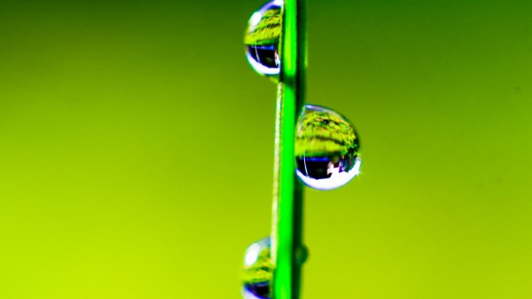Grass Drops Water Wallpaper