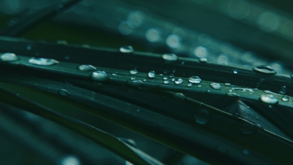 Photography Grass Drops Dew Wallpaper