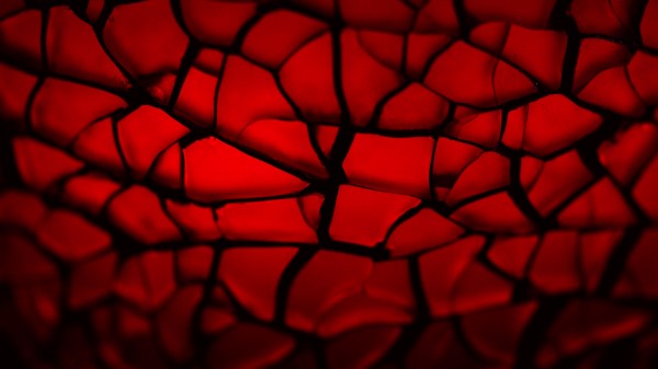 Shards Glass Macro Wallpaper
