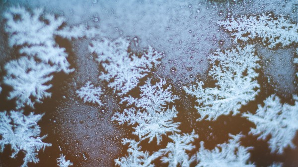 Snowflakes Ice Macro Wallpaper