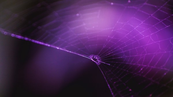Spiderweb Purple Weaving Wallpaper