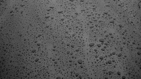 Surface Drops Bw Wallpaper