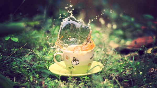 Tea Spray Earth Grass Saucer Green Cup Wallpaper