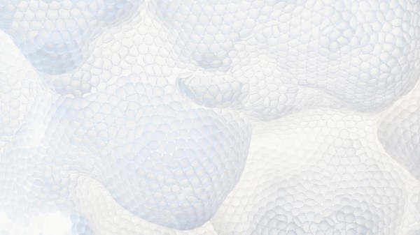 Texture Macro White Wallpaper