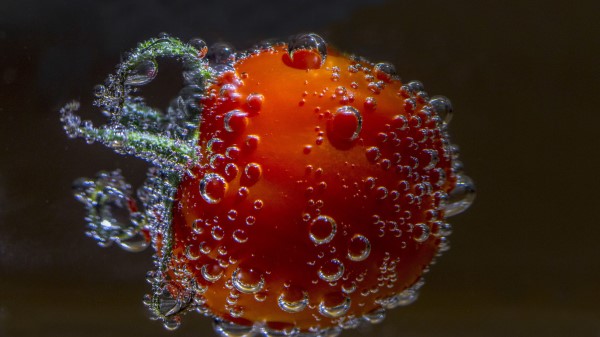 Tomato Drop Close Up Wallpaper