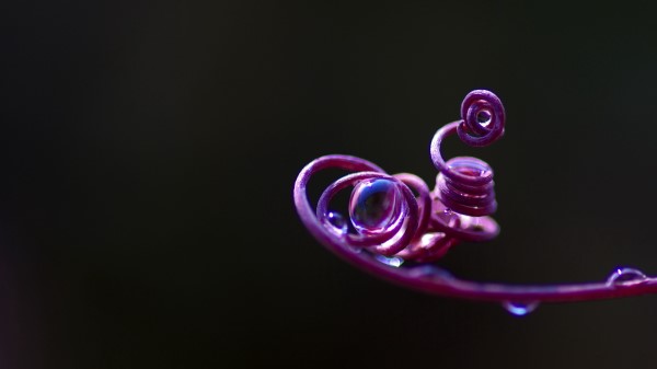 Vine Twig Twisted Wallpaper