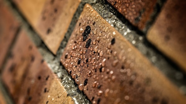 Wall Drops Macro Wallpaper