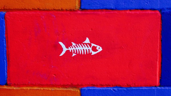 Fish Art Wall Paint Wallpaper