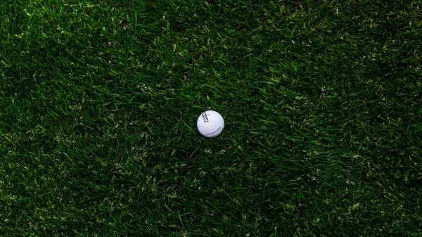 Golf Ball Grass Wallpaper