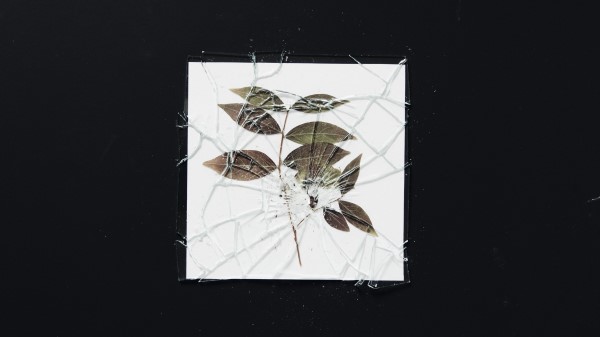 Herbarium Glass Broken Wallpaper