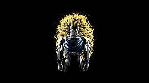 Battle Fire Super Saiyan 3 Goku Dragon Ball Z Xm wallpaper