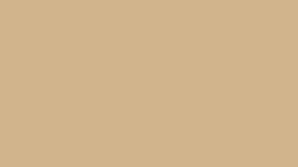 Tan Solid Color Background 8k wallpaper