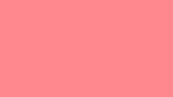 Tulip Solid Color Background 8k wallpaper