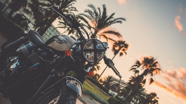 Motorcycle Bike Palm Tree Wallpaper