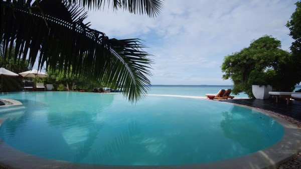 Tropics Swimming Pool Palm Trees wallpaper