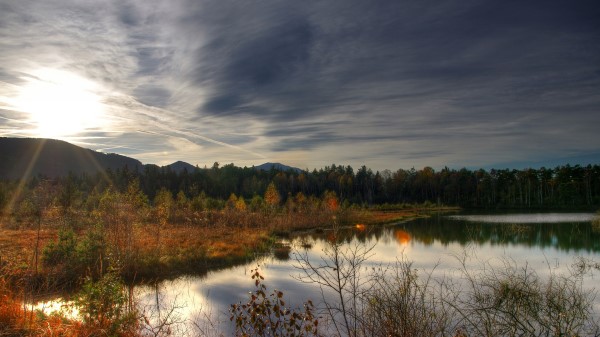 Utumn Lake Forest Natur wallpaper