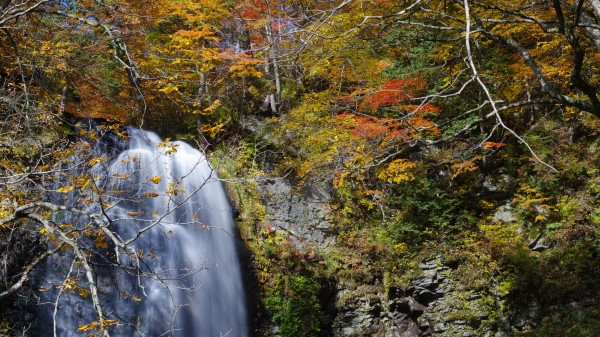 Waterfall Cliff Trees H wallpaper