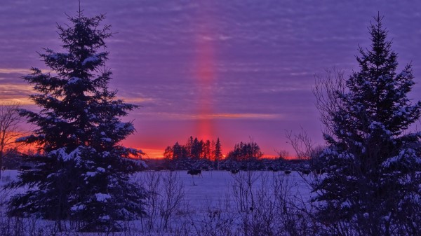 Winter Sunset Field Landscape Wallpaper