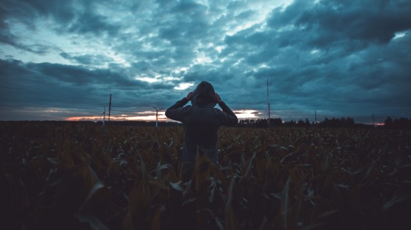 Silhouette Field Dark Wallpaper