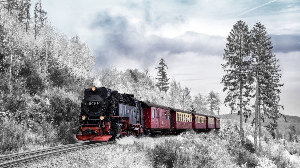 Train Forest Winter Wallpaper