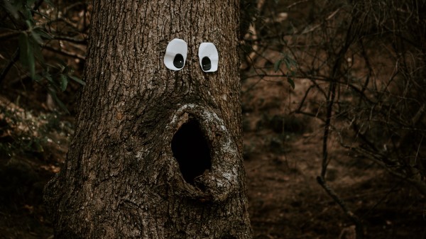 Tree Eyes Trunk Wallpaper