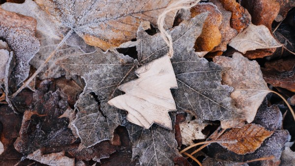 Tree Wooden Crafts Wallpaper