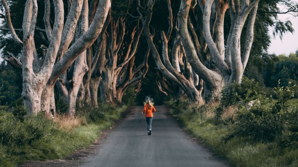 Trees Path Person Wallpaper