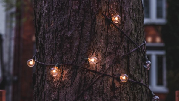 Trunk Bark Tree Lamp Garland Wallpaper
