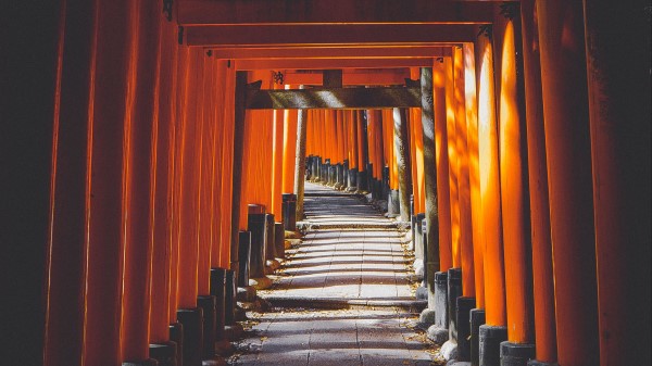 Tunnel Dark Path Wallpaper