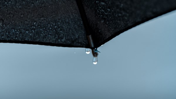 Umbrella Drops Wet Wallpaper