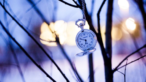Watches Branches Winter Pocket Watc Wallpaper