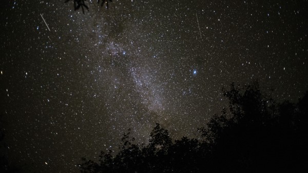 Space Branches Dark wallpaper