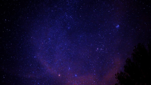 Starry Sky Stars Tree wallpaper