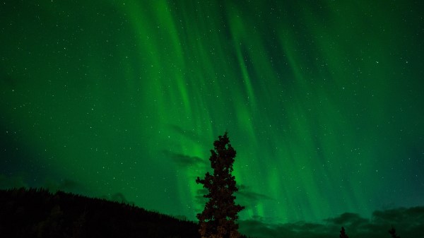 Tree Night Sky Starry Sky Radiance wallpaper