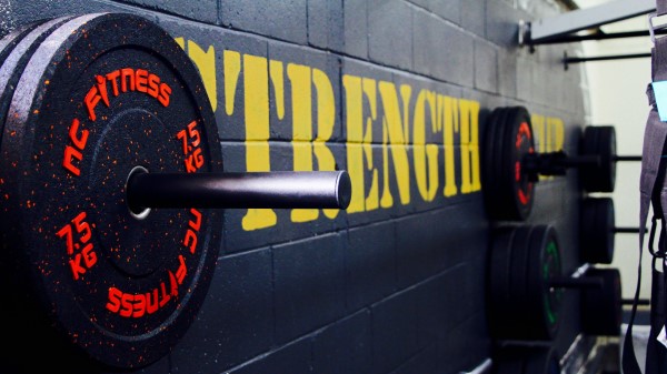 Gym Disks Weight Bodybuilding wallpaper