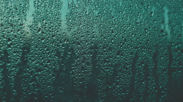 Drops Moisture Rain Wallpaper