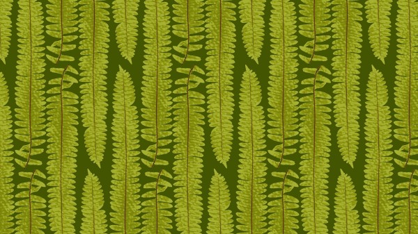 Fern Leaves Texture Wallpaper