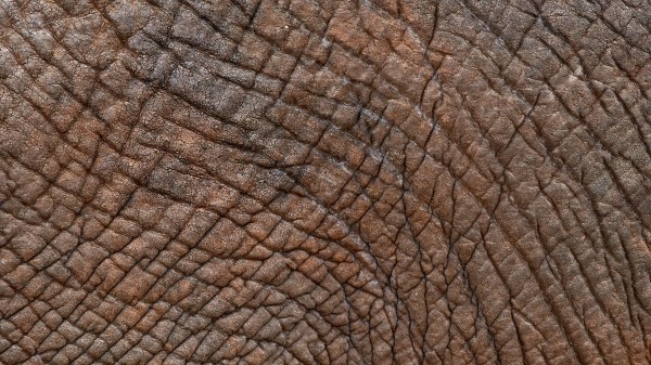 Leather Texture Folds Image Wallpaper