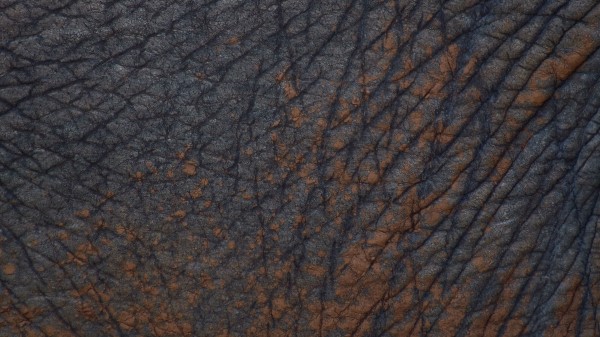 Leather Texture Folds Wallpaper
