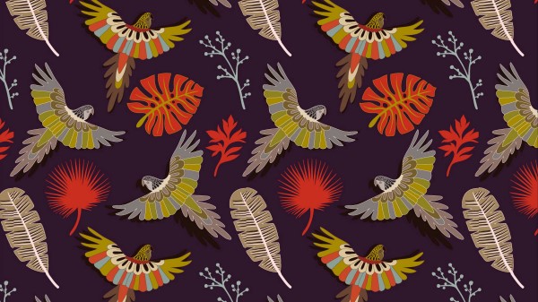Parrots Birds Feathers Wallpaper