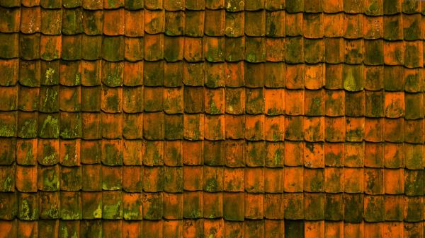 Roof Texture Surface Wallpaper