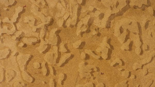 Sand Coast Water Wallpaper