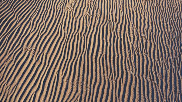 Sand Desert Wavy Wallpaper