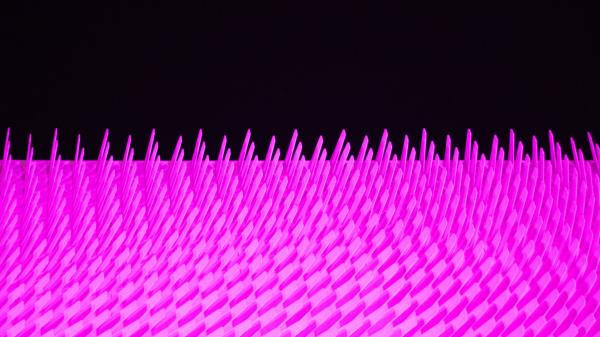 Shape Line Pink Wallpaper