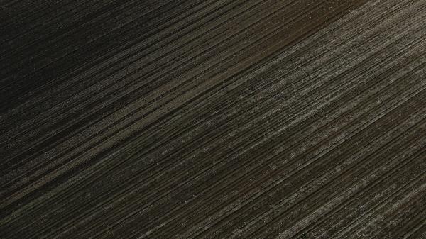 Stripes Surface Sparkles Wallpaper