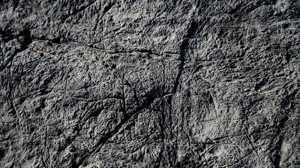 Surface Scratches Gray Wallpaper