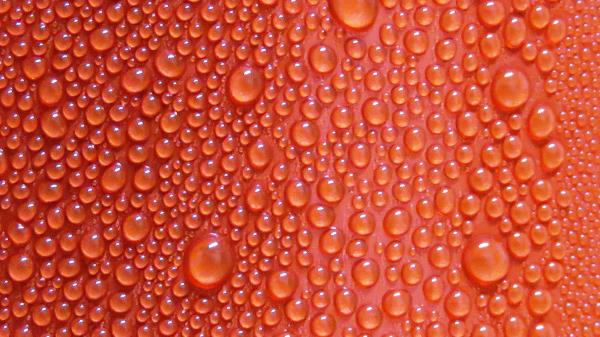 Texture Drops Surface Wallpaper
